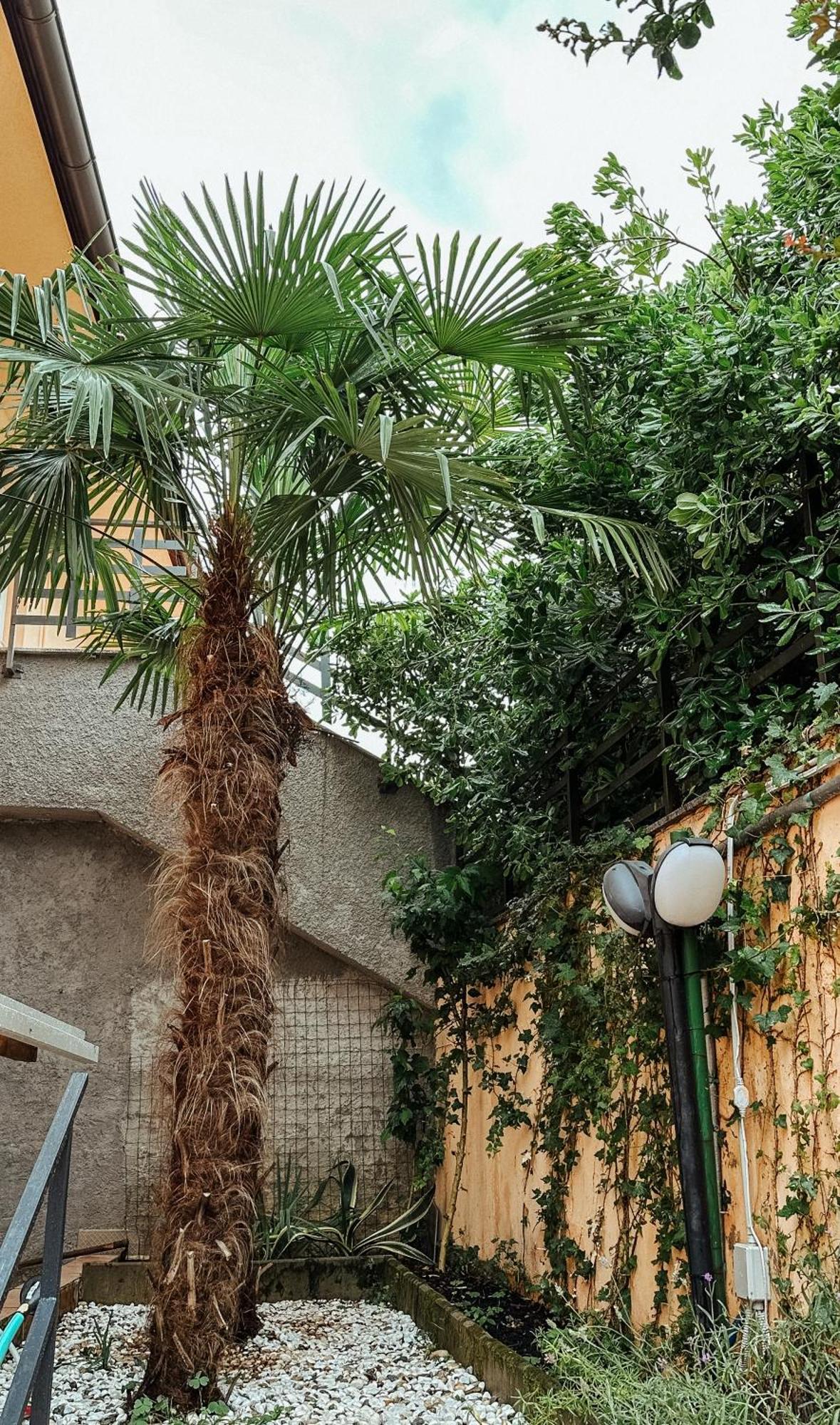 Apartmani Jelena Opatija Exterior photo
